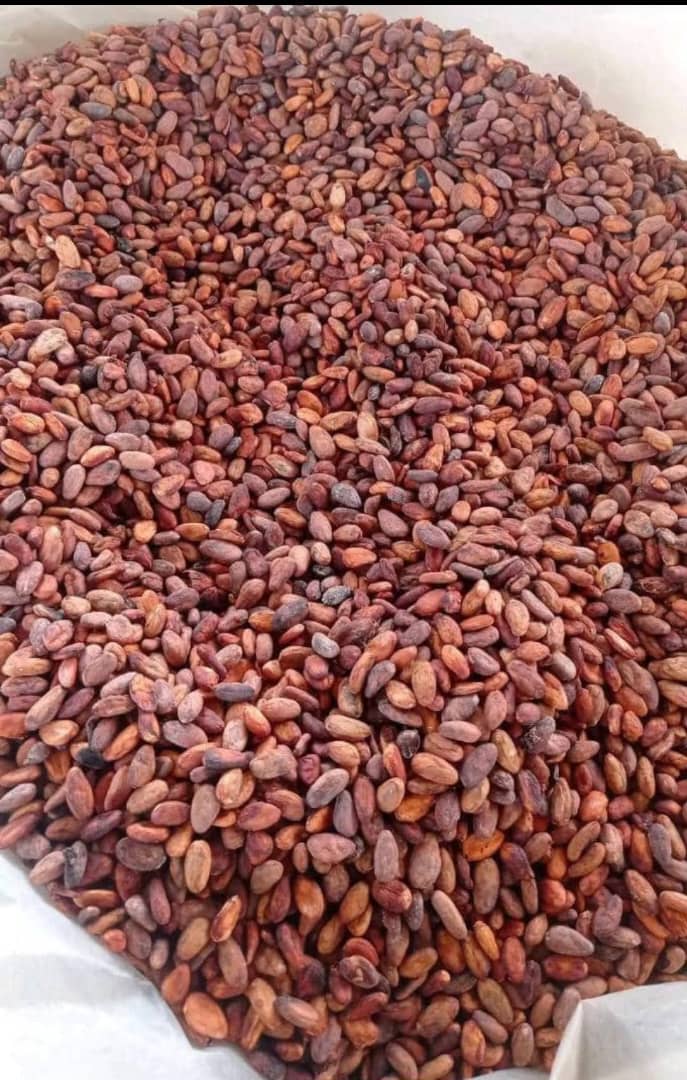 Groundnuts